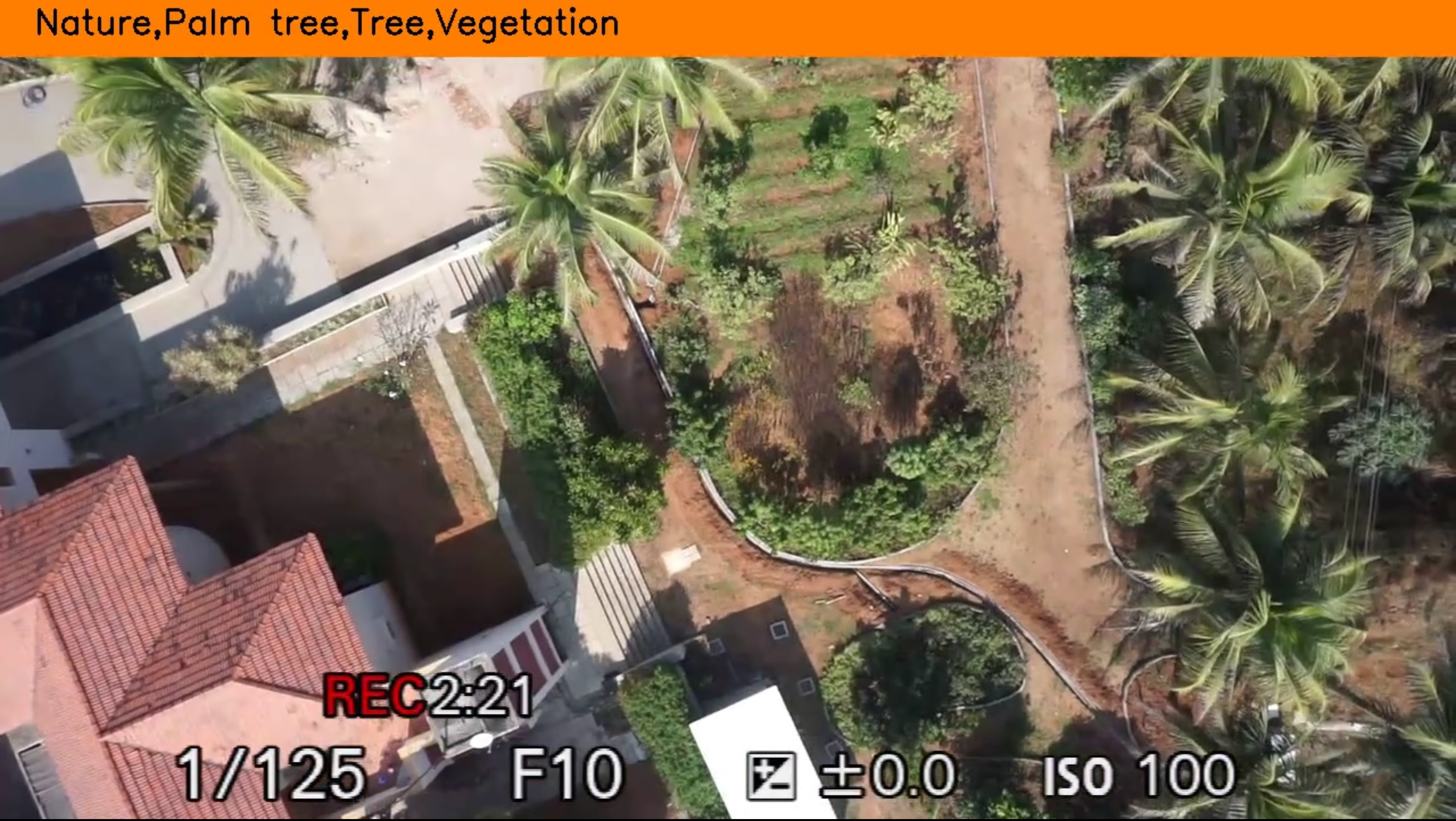 Aerial Survey Automation demo