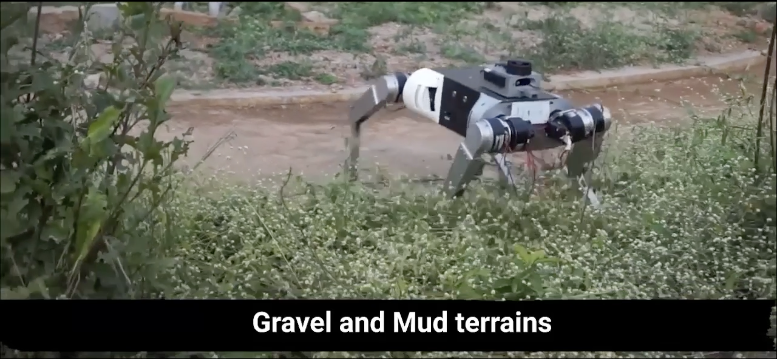 Quadruped Robotics demo